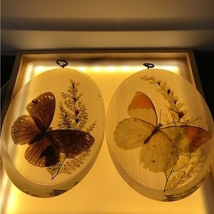 2-Vintage Poly Resin Real Butterfly Wall Hanging Art